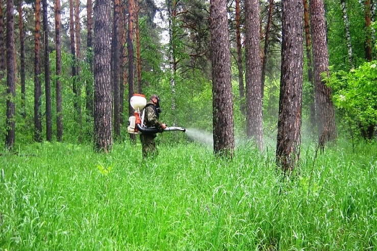 Обработка от клещей лесных массивов в РФ